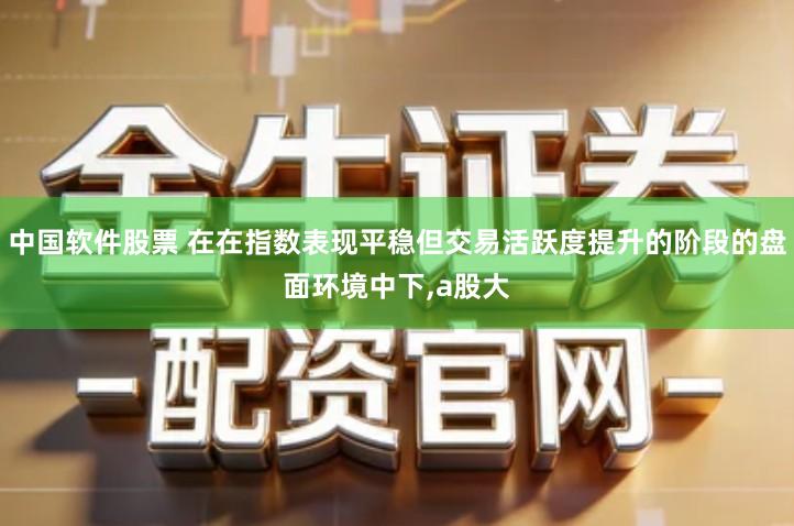 中国软件股票 在在指数表现平稳但交易活跃度提升的阶段的盘面环境中下,a股大